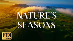 Nature’s Seasons and Silent Transformations