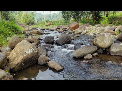 Flowing River Between Stones and Trees: Peaceful Water Ambience for Relaxation and Sleep