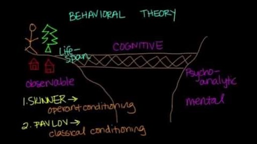 Behavioral theory