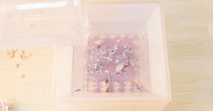 Watch Let's Make a Large Resin Pyramid on Amazon Live