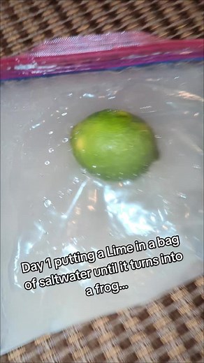 Viktoforuk on TikTok