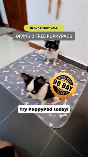 The only pee pad that attracts your dog to pee on it  Lasts Over A Year  Hundreds of thousands of happy dog parents love PuppyPad ❌ No training required ∞ Absorbs instantly with no leaks or smell Loved by doggy shelters around the world Grab yours here: https://shop.puppypad.co/listicle/szn | PuppyPad | Facebook