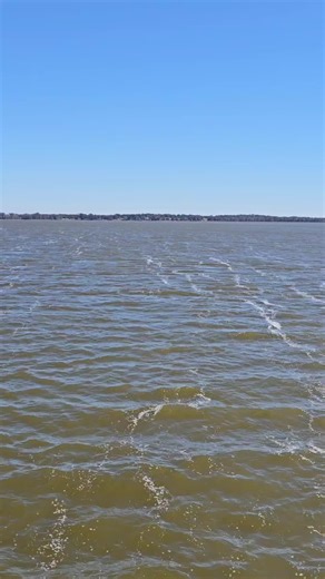 CFLA (@_cfla)’s videos with Breathe Underwater - Bullet For My Valentine