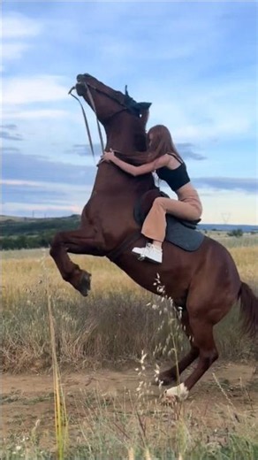 Horse jumping
