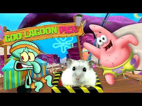 Hamster in Roller Coaster Maze with SpongeBob - My Krabby Patty