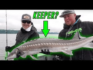 ULTIMATE Columbia River Keeper Sturgeon Fishing BEATDOWN!! | Addicted Life Ep. #42