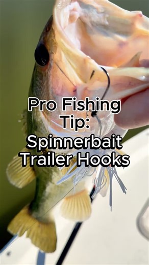 Juran Adventures on Instagram: "How to use Spinnerbait trailer hooks. A cool fishing hack for spinnerbaits if you’re getting short strikes #fishing #fishingtips #spinnerbait @booyah_baits"