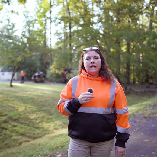 Flat Rate Tree Service Package, Includes Unlimited Equipment Do you have a long list of work you need done but can’t afford to do it all at once? - Hire a crew from 8am-1pm with unlimited equipment for a fixed price. - ⁠Create a priority list during the consultation, then watch as the crew completes each priority with lightning speed. Need tree work done? With our Clock-In, Clock-Out discount, you can save big: ✔️ Full satisfaction guarantee –You don't make the final payment until you’re 100% sa