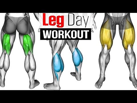 ‎Ultimate Dumbbell Leg Workout at Home | 7 Best Exercises for Stronger Quads & Legs