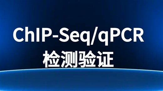 ChIP-Seq/qPCR检测验证