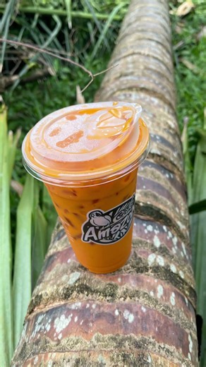Amazon tea Thailand
