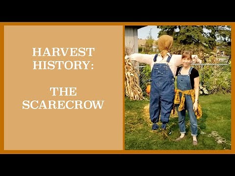 Harvest History: The Scarecrow