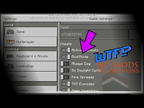 How to activate GOD MODE in MCPE!
