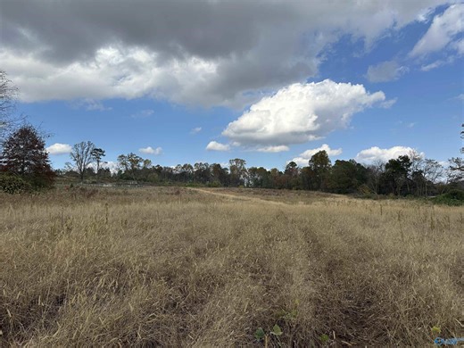 175-Acres-Burwell-Road-Harvest-AL-35749-428633543