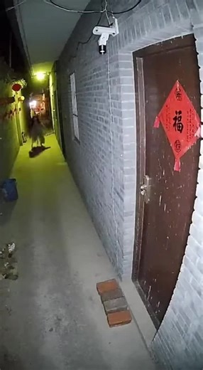 A Banshee In China?! lion comes to attack it out of nowhere!! 😰😨😱 #fyp #ring #creature #viral #banshee