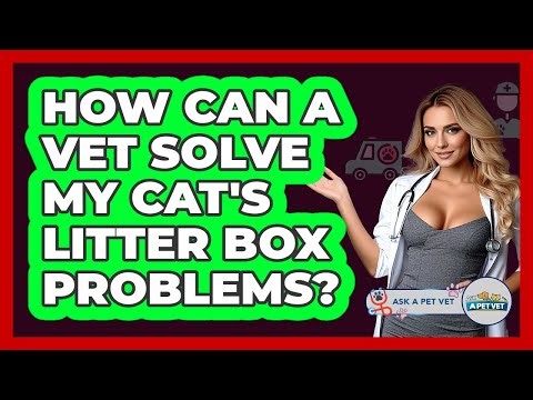 How Can A Vet Solve My Cat's Litter Box Problems? - Ask A Pet Vet