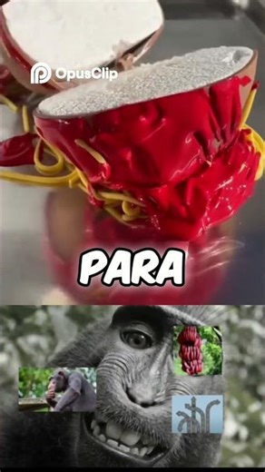 ¿Qué es una Heurística? Explicado con un Mono 🐒