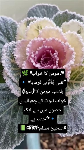 Hadees e Mubaraka #hadessmubarak #foryou #ytshorts #ytviral #viralshort