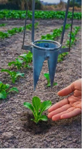 This Simple Tool Plants Seedlings in Seconds! 🌱 | Fast Vegetable Transplanting Hack #farminglife