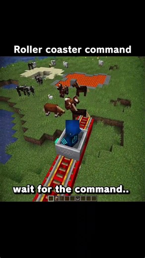 Minecraft Roller Coaster