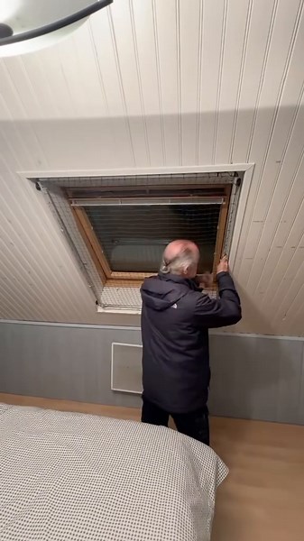 Sécurisez vos Vélux pour la sécurité de vos chats