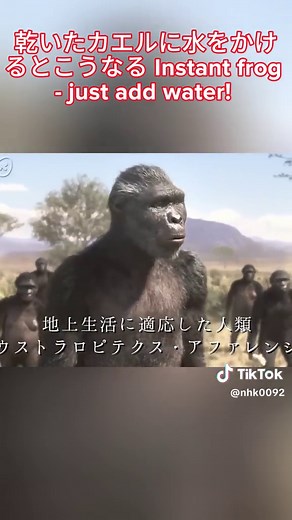 [人類誕生CG] 370万年前の人類は虫を食べていた！ | NHKスペシャル | NHK