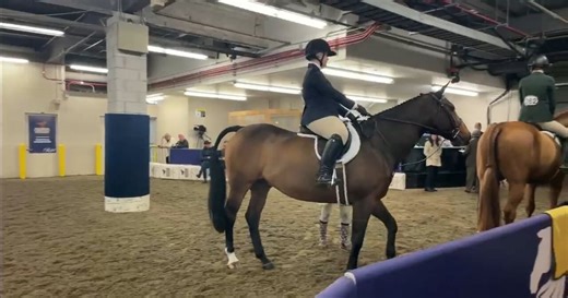 The Royal Agricultural Winter Fair officially begins with events focused on food, farming