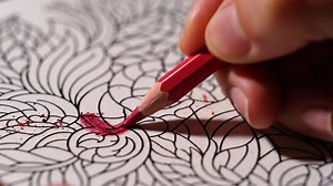 Do you like coloring? | Naturalia