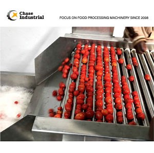 [Hot Item] Standard Ocean Packing 1 Year Free Service and Life-Time Berry Processing Project