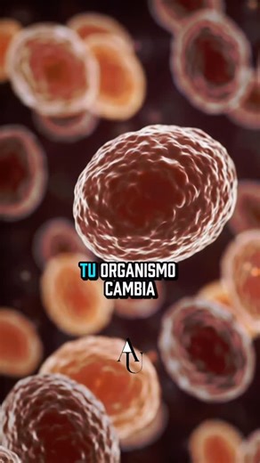 𝑬𝒔𝒄𝒖𝒆𝒍𝒂 𝒅𝒆 𝑪𝒖𝒊𝒅𝒂𝒅𝒐𝒓𝒆𝒔©️ on Instagram: "💡 🧠 ¿Sabes lo que le pasa a tu cuerpo cuando caminas una hora? 👣 Cada paso que das activa una cadena de beneficios que impactan directamente en tu salud física y mental. En los primeros minutos tu corazon late mas rapido y aumenta el flujo sanguineo, llevando oxigeno fresco a musculos y organos. Tus pulmones se expanden, eliminas toxinas y tu cuerpo empieza a liberar cortisol, reduciendo el estres. A medida que avanzas, los musculos de