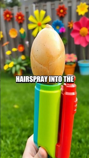 The Explosive Potato Gun Experiment