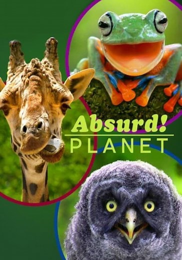Absurd Planet - streaming tv show online