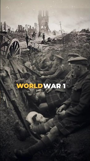 The Great War : A Brief History ?
