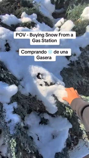 Damexicanboy on Instagram: "“You never had a snow party?”"