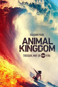 《野獸家族》(Animal Kingdom)｜DramaQueen電視迷