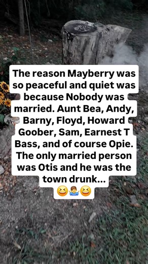 The Andy Griffith Show Just Revealed Its Biggest Secret 😳💀 #andygriffith #humor