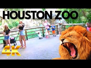 Houston Zoo Walking Tour - Animals at the Zoological Wildlife Park Texas USA