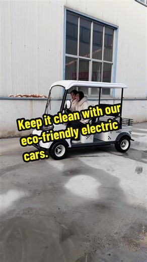 Eco-Friendly Electric Cars for Families and Seniors