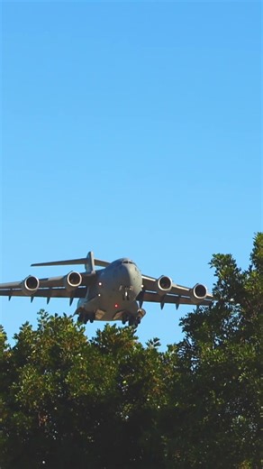 Exploring the Boeing C-17: A Versatile Cargo Aircraft