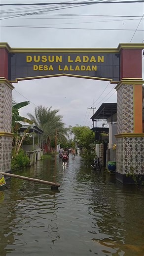 Hasil Mancing Hari Minggu Tanggal 18 Januari 2026 Spot Desa Laladan Kec.ndeket HTM 15 rbu 🎣🔥 #mancingmaniamantap🐟🎣 #mancingliarlamongan #mancingmania #fyppppppppppppppppppppppp #lamongan24jam