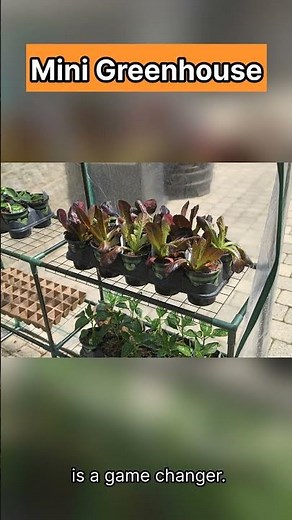 Mini Miracle-Gro Walk-in Greenhouse | Durable & Easy Access #ad