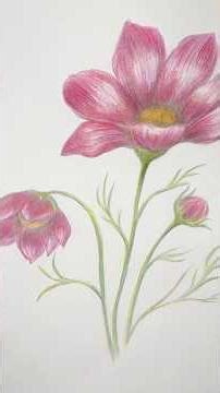 Flowers by cheap colored pencils ✏️ #coloredpencils #pencildrawing #pencils #arttutorial