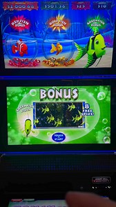 Goldfish bonus😎 | Slot Machines ltd.