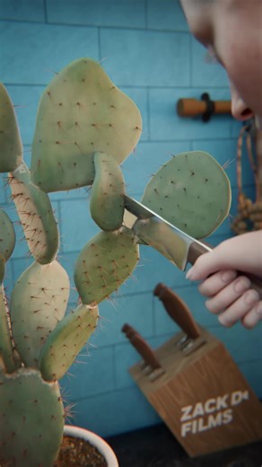 How Do You Make Tacos With Nopales Cactus 🤤 | Cactus