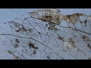 Metallica - The Unforgiven / 1 hour music