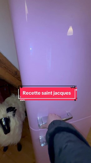 Recette et façon de manger les Coquilles Saint Jacques