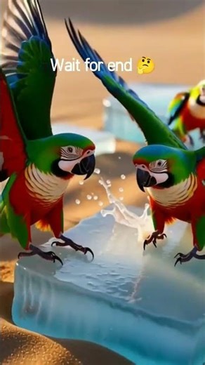 wait for end 🤔#ytshorts #shorts #shortsfeed