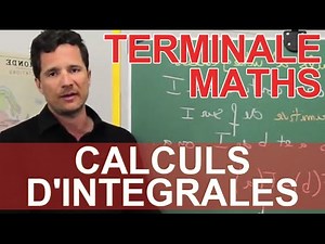Integral Calculations - Course Reminder - Final Year Maths - Les Bons Profs