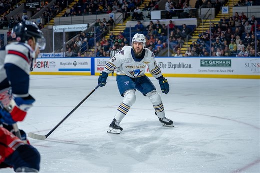 Thunderbirds fall in fight-filled clash with Marlies
