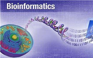 生物信息学全面精讲（20集完整版）（从概论-应用）